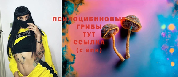 МДМА Алексеевка