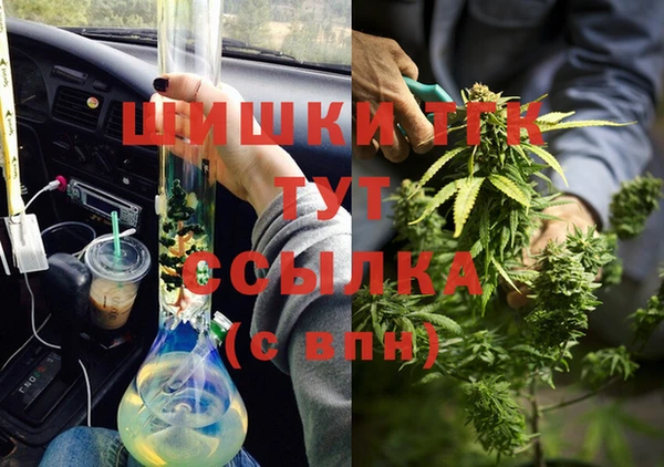 амф Россошь