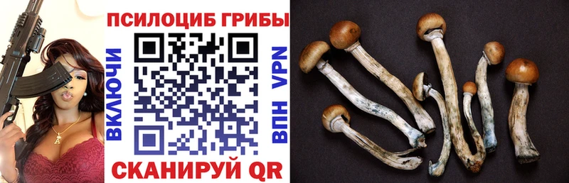 Псилоцибиновые грибы Magic Shrooms  Нижнеудинск 